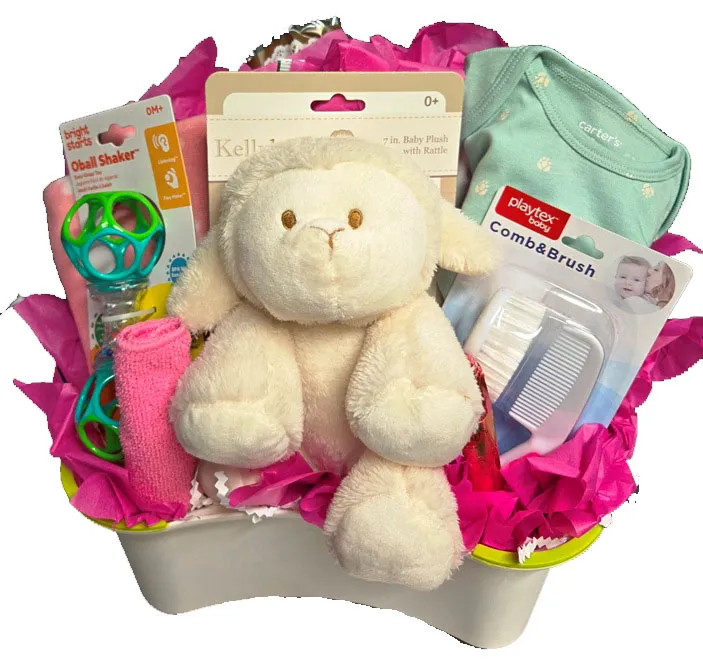 New Baby Gift Baskets Saskatoon Regina