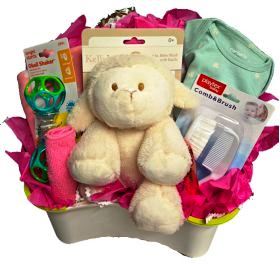 New Baby Basket