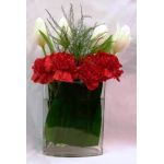 Tulips & Carnations
