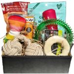 Fido Dog Gift Box