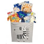 Zebra Baby Boy Storage Box