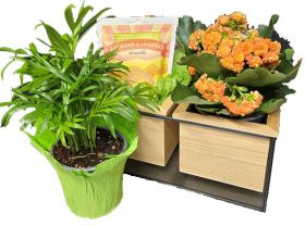 Attractive Indoor Planter & Goodies