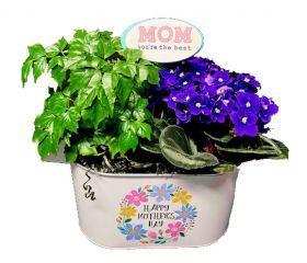 Happy Mother's Day