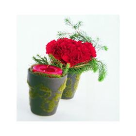 Holiday Posies