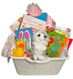 Baby Girl Necessities