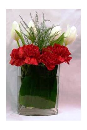 Tulips & Carnations