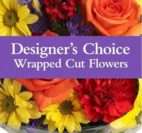 Designer's Choice